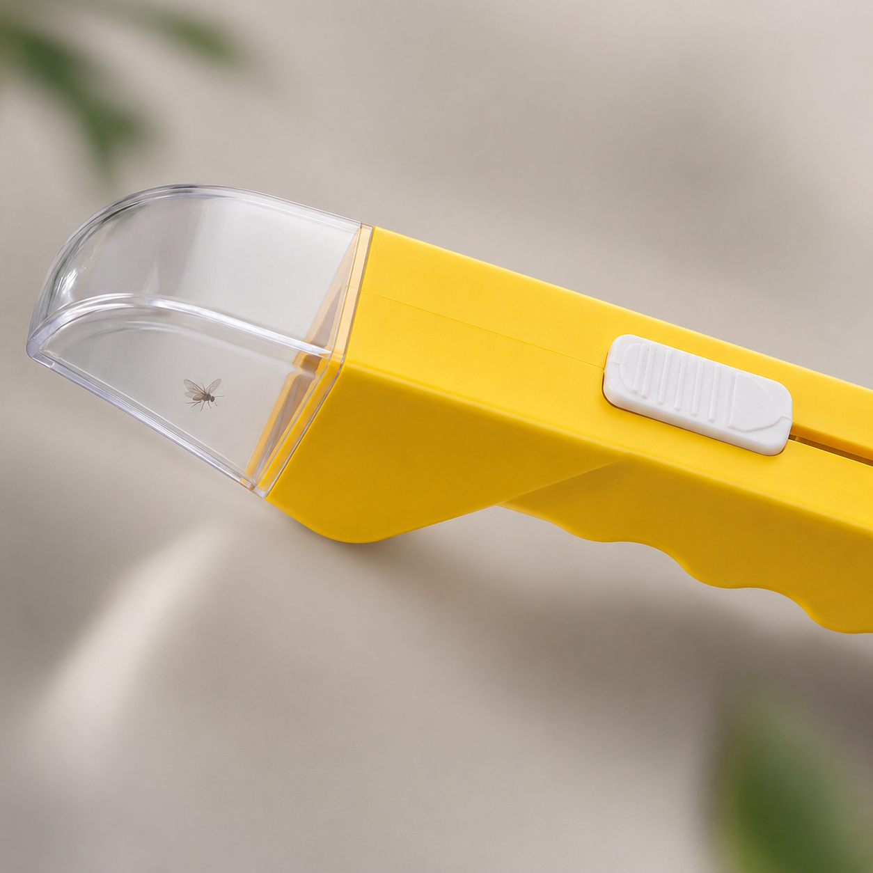 Close-up of the clear catch chamber holding an insect